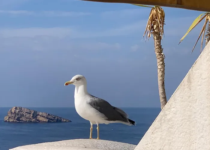 House -sea View-roof Terrace-swimming Pool- * Benidorm